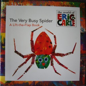 The very busy spider